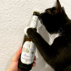 ドイツで購入できるネコのエサや砂を紹介！