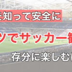 【保存版】本場ドイツでブンデスリーガーサッカー観戦しよう